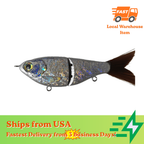 [10 PCS] [Foiled] 5'' Shad Glide Foiled Glide Bait Blanks - Rough Scale Body BL-091-A